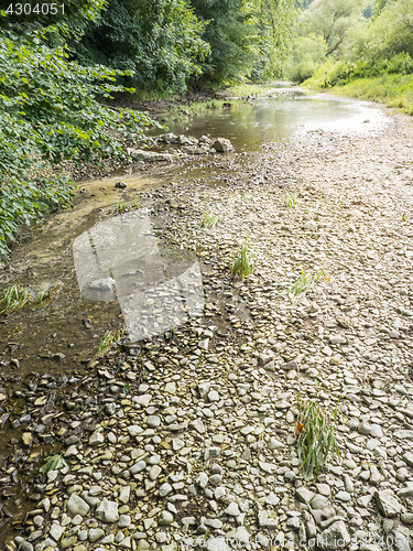 Image of the Danube seepage at Donaueschingen Germany