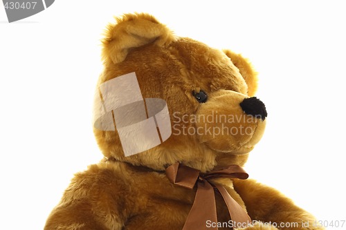 Image of brown teddy bear