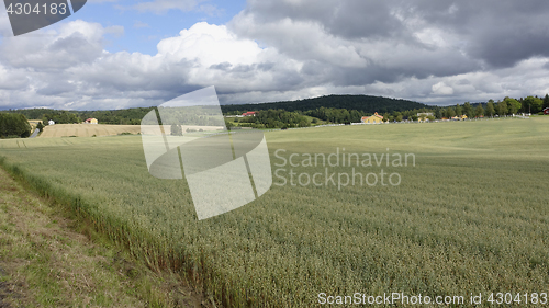 Image of Farmland