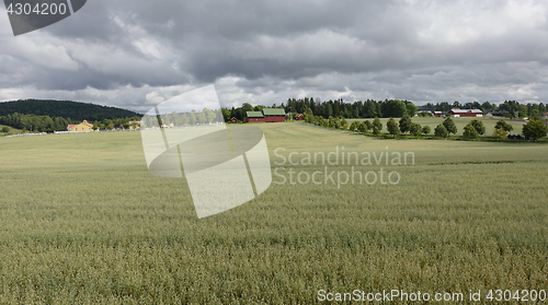 Image of Farmland