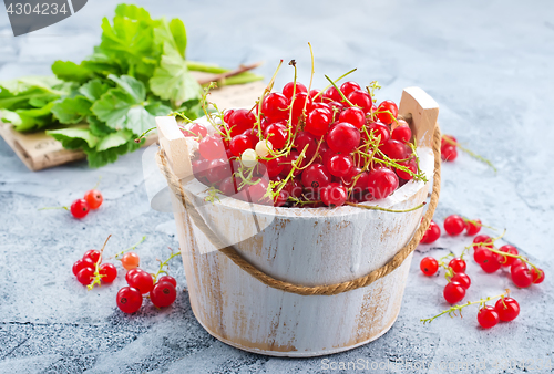 Image of red currant