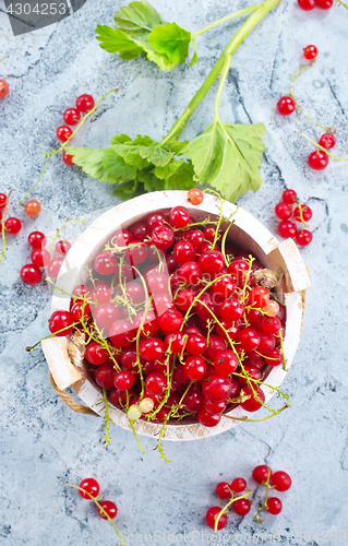 Image of red currant