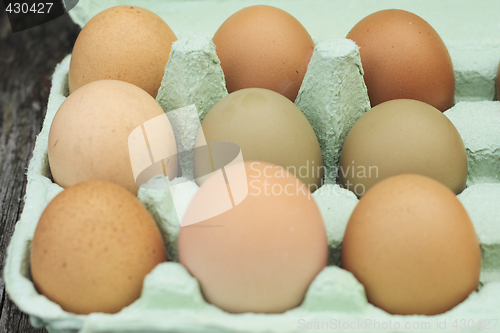 Image of fresh free-range chicken eggs