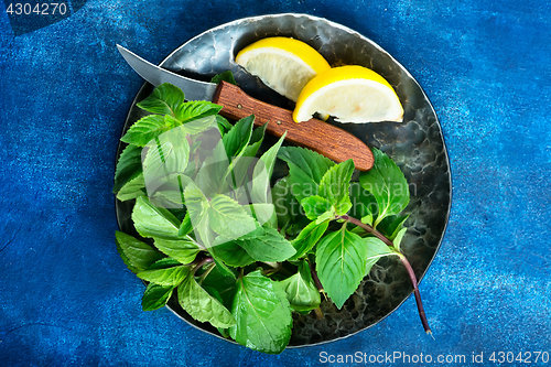 Image of fresh mint