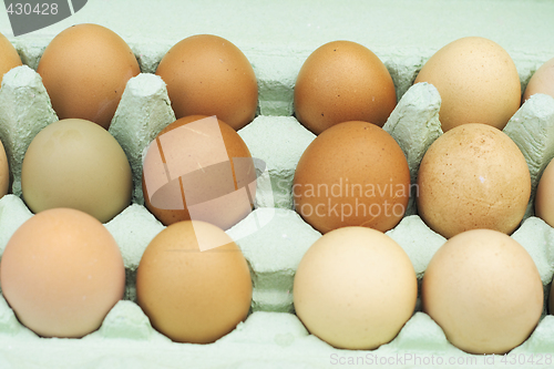 Image of fresh free-range chicken eggs