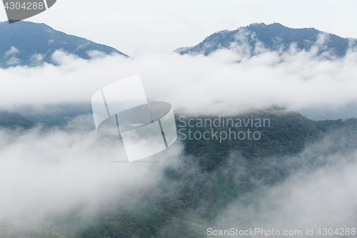 Image of Takeda Castle and Sea of ??clouds in the mountain
