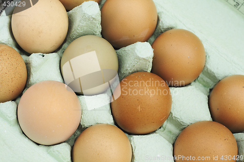 Image of fresh free-range chicken eggs