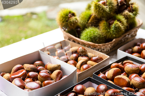 Image of Fresh Chestnut