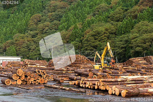 Image of Timber industry