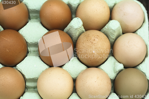 Image of fresh free-range chicken eggs