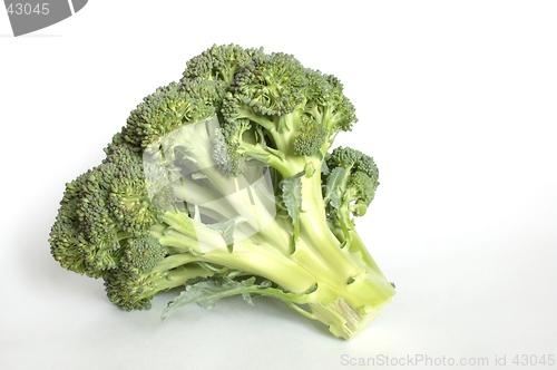 Image of Broccoli