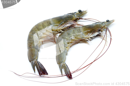 Image of Fresh raw prawns