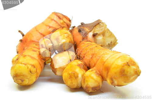 Image of Turmeric rhizome on white background