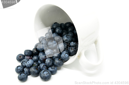 Image of Tasty blueberries isolated