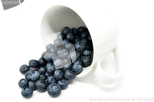 Image of Tasty blueberries isolated