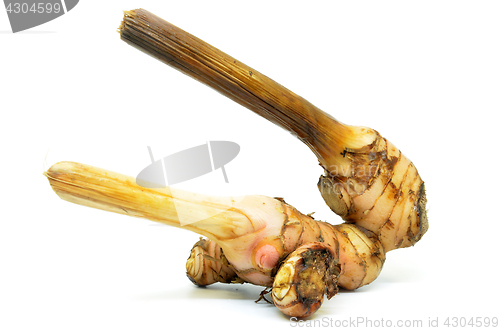 Image of Fresh galangal root