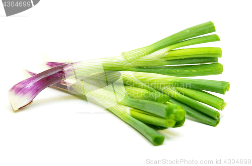 Image of Fresh spring onions