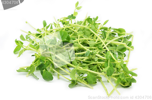 Image of Bunch of pea shoots