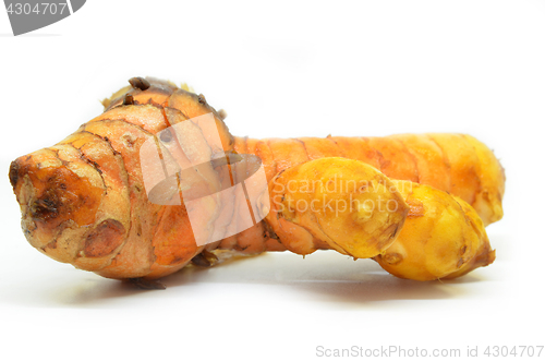 Image of Turmeric rhizome on white background