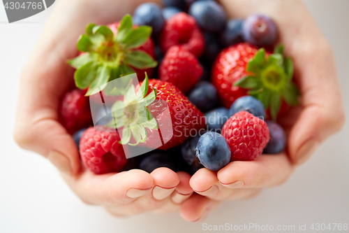 Image of close up of young woman hands holding berries