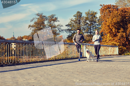 Image of happy couple with dog running outdoors