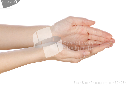 Image of beautiful womans hands palms up on white 