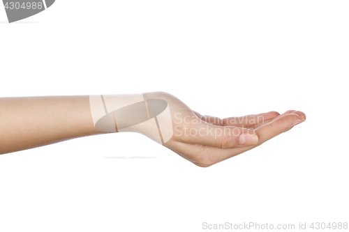 Image of woman hand with palm up 