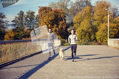 Image of happy couple with dog running outdoors