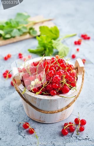 Image of red currant