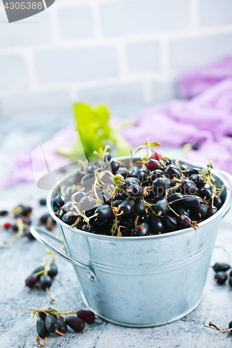 Image of black currant