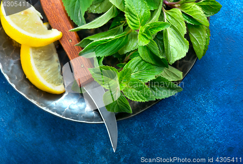 Image of fresh mint