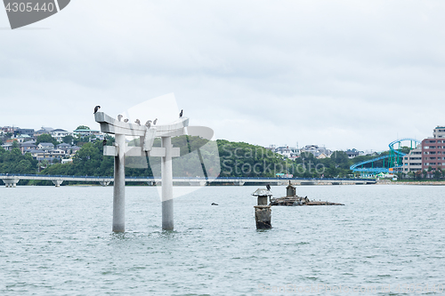 Image of Stone torii gate in Fukuoka city