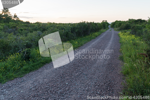 Image of Gravel road in a green and yellow countryside