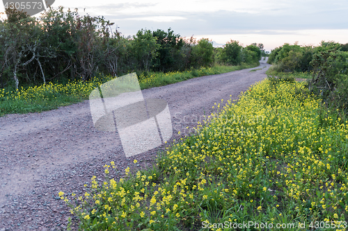 Image of Beautiful country road