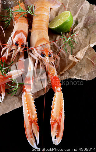 Image of Delicious Raw Langoustines 