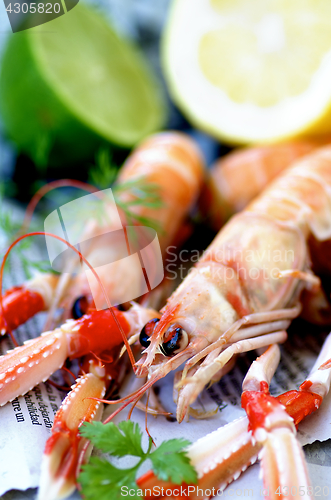 Image of Delicious Raw Langoustines 