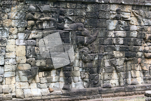 Image of Elephants