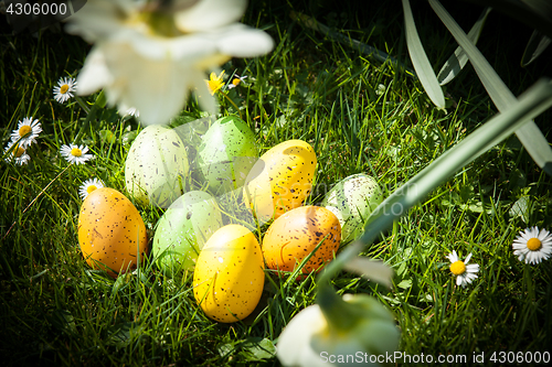 Image of colored Easter eggs hidden in flowers and grass