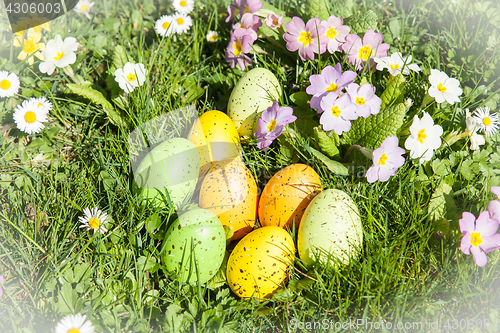 Image of colored Easter eggs hidden in flowers and grass