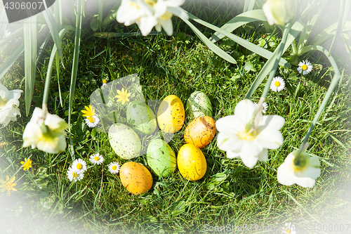 Image of colored Easter eggs hidden in flowers and grass