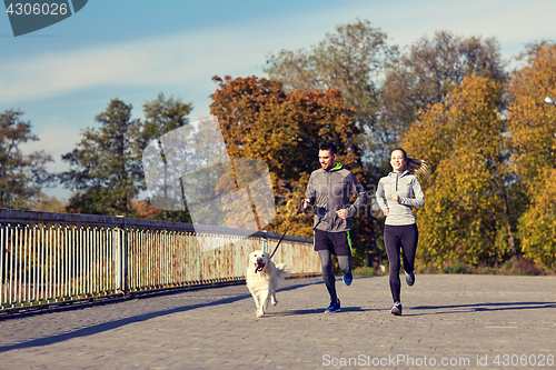 Image of happy couple with dog running outdoors