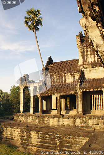 Image of Temple and palm tree