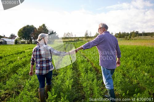 Image of happy senior couple holding hands at summer farm