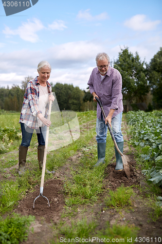 Image of senior couple with shovels at garden or farm