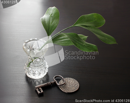 Image of Branch in Vase, Key and Silver Coin