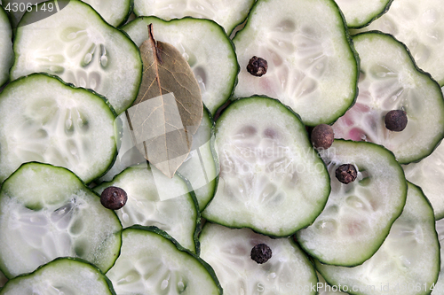 Image of Fresh cucumber slices