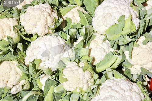 Image of Fresh Cauliflower in a Market