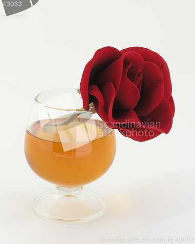 Image of Rose and Brandy