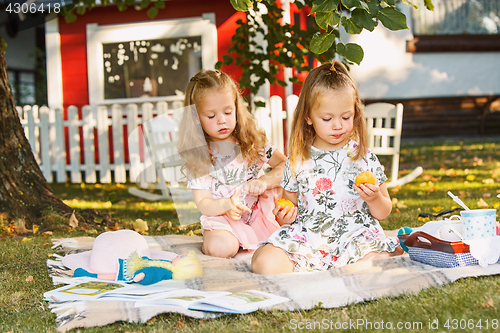 Image of Two little girls sitting on green grass