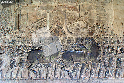 Image of Warriors